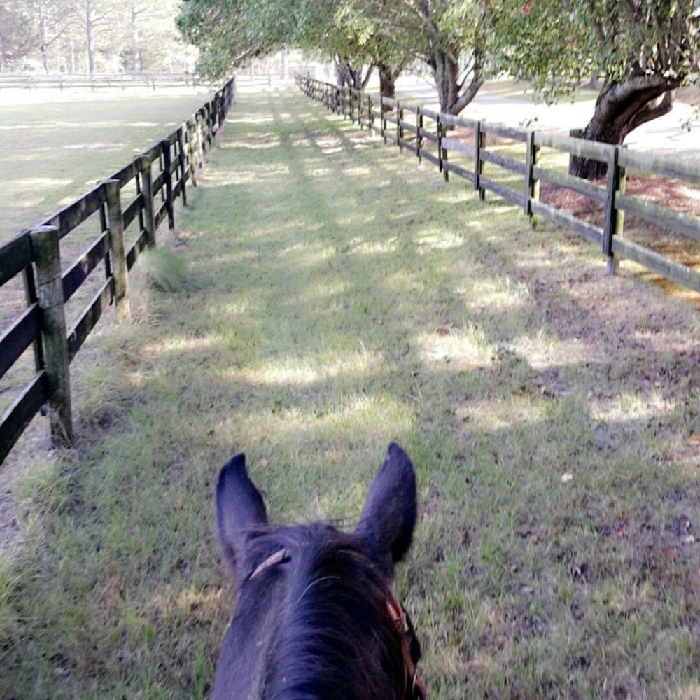 Meet your Posher, Keely